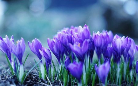 那一刻，也曾情为之往