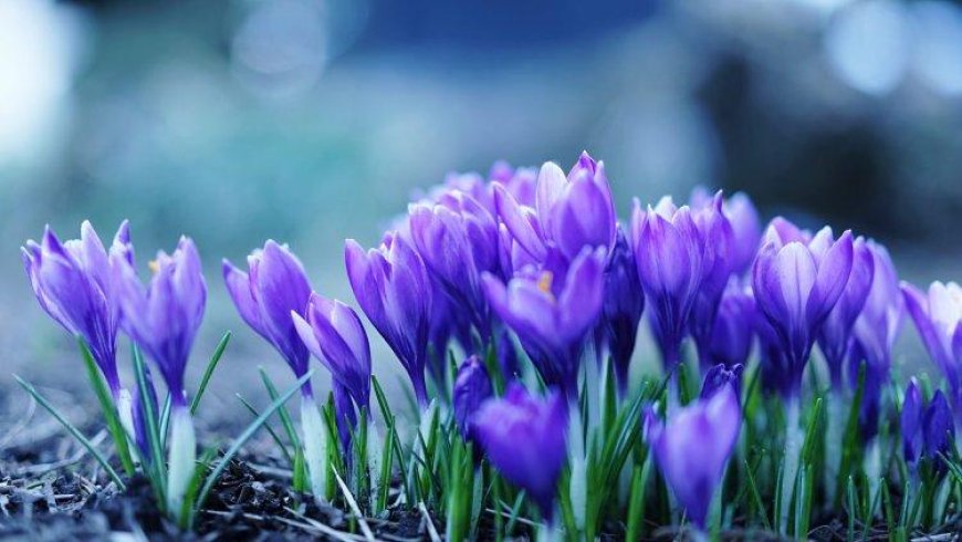 那一刻，也曾情为之往